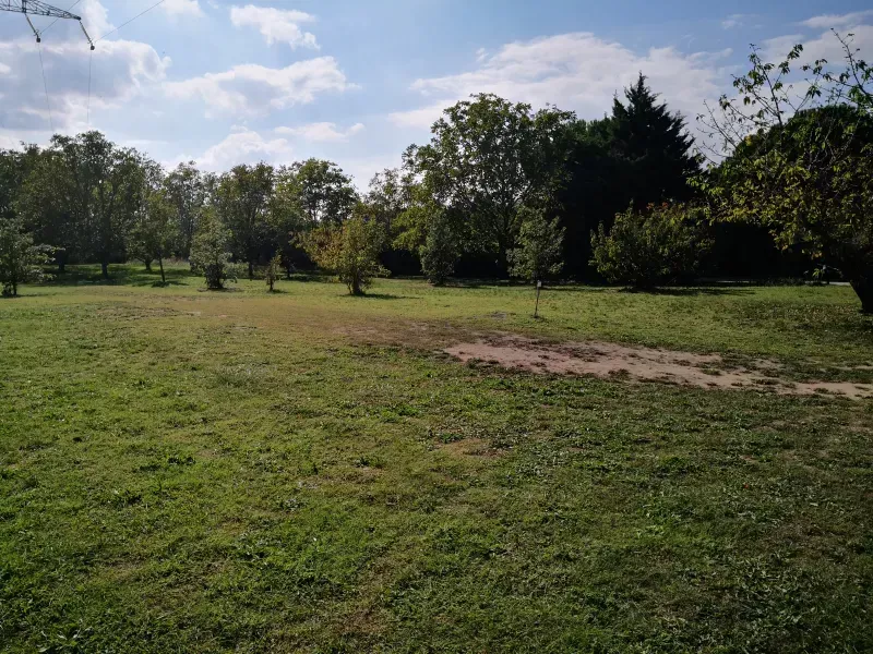 automne antre des vices