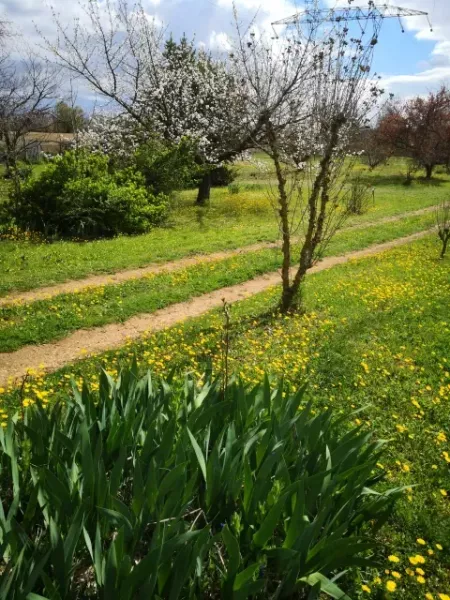 printemps antre des vices
