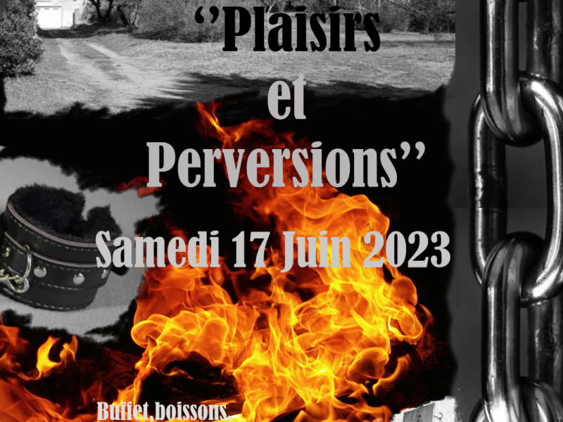 plaisirsetperversions